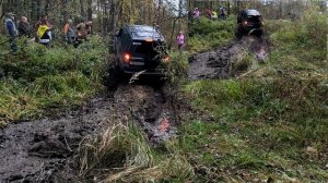 Болото не отпускало