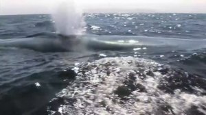 The National Anthem of Chile / Страна прекрасных пейзажей Чили