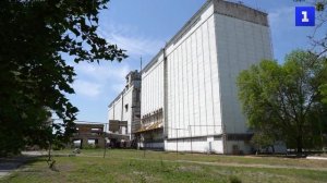 В Запорожской области началась посевная кампания подсолнечника