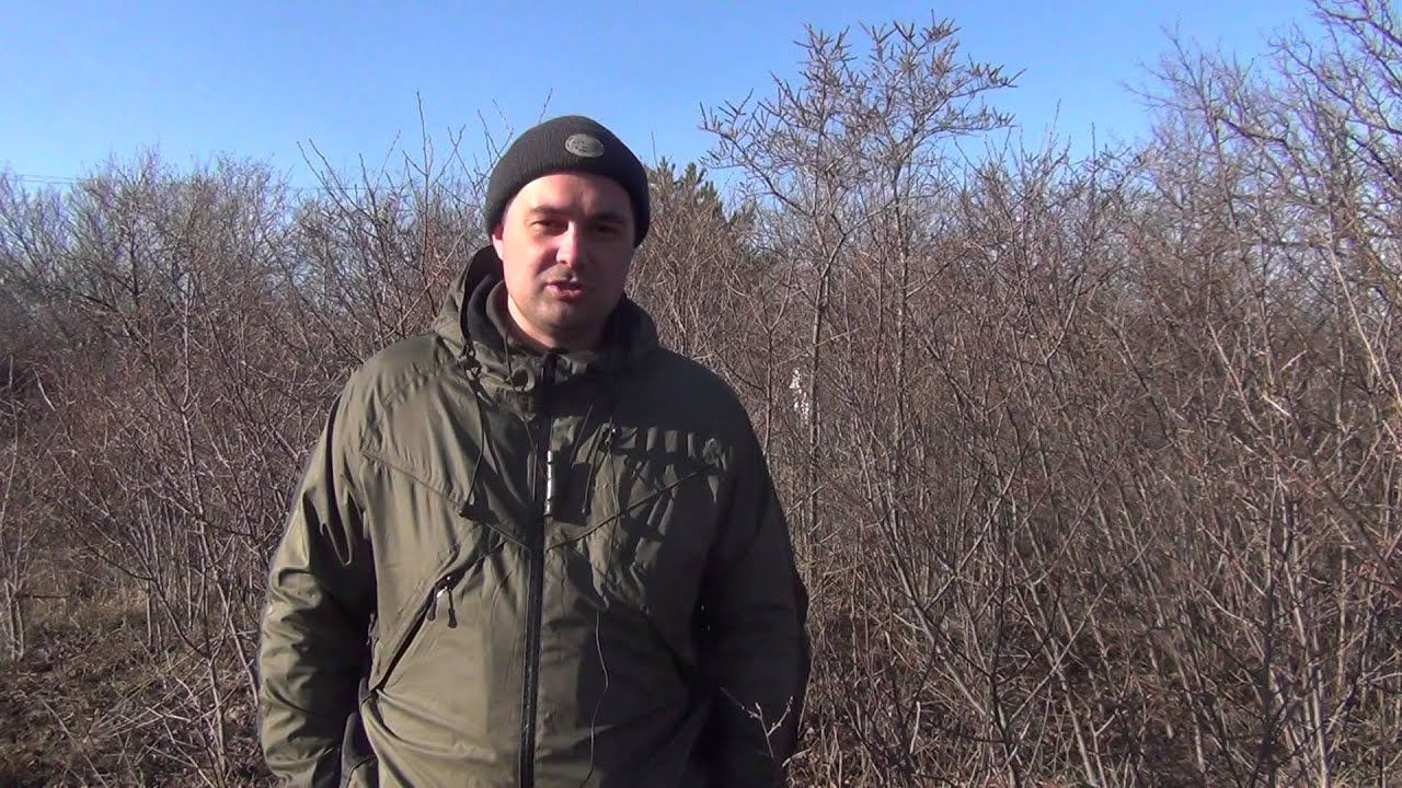 Отзыв Красильникова Максима смотреть онлайн