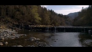 River TROUT fishing with the Sustain rod and reel! | Shimano Fishing