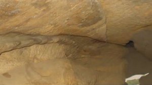 Каменная могила Мелитополь Каменная могила - памятник археологии