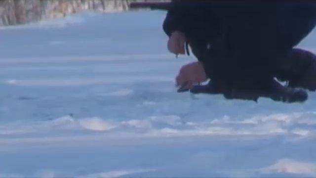 Нельма-Z катушка для ловли в проводку смотреть онлайн