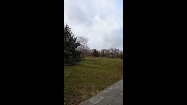 Волжский парк смотреть онлайн