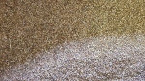 Азовсельмаш: Лен после полной очистки на зерноочистительной машине Азимут