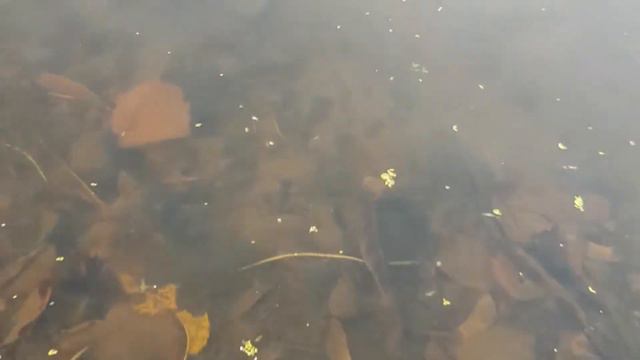 Колпино. ИЖОРА. смотреть онлайн