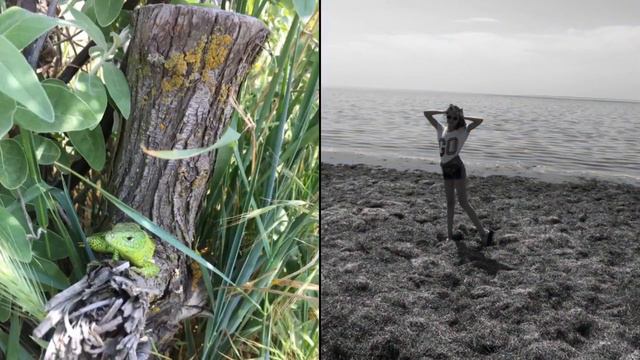 Самое первое видео смотреть онлайн