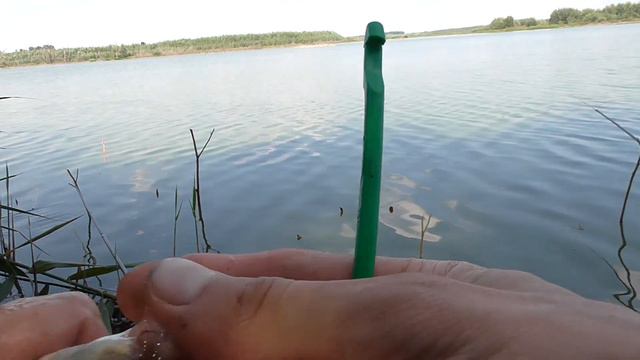 Рыбалка НА ПОПЛАВОК. РАК Клюёт на червя? Ловля карася на удочку #рыбалка #поплавок #ловлякарася