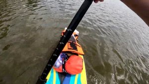 На сапборде по реке Иловля и Дон,24 км по воде на сапе