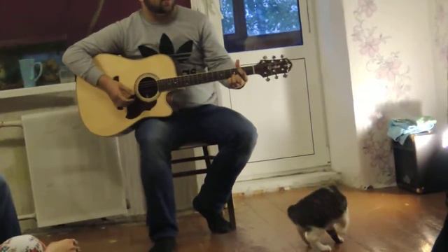 Бранимир - Враги сожгли родную хату (Екатеринбург, 28.05.2014) смотреть онлайн