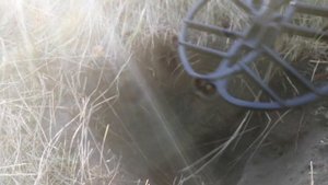 Лучшие металлоискатели Терминатор про тест на глубину в грунте