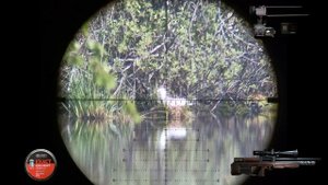 Crow hunting Кроухантинг май 2020