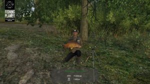 Fishing Planet-Озеро Зандер Баггер, Германия.Охота на белого амура,карпов и сазана.