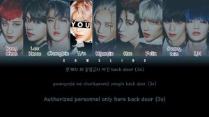 STRAY KIDS (스트레이 키즈) ↱ BACK DOOR ↰ You as a member [Karaoke] (9 members ver.) [Han|Rom|Eng]
