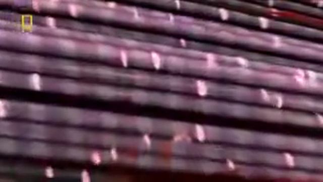 Как качаются мышцы