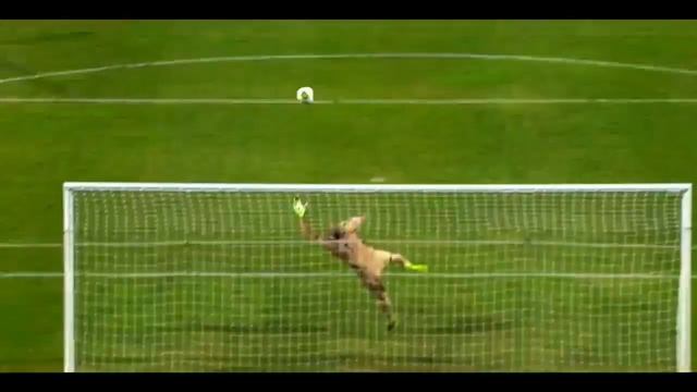 SKODA KAROQ v/s 2020 TATA HARRIER v/s MG HECTOR v/s JEEP COMPASS v/s 2020 HYUNDAI TUSCON| GEEKYAUTO смотреть онлайн