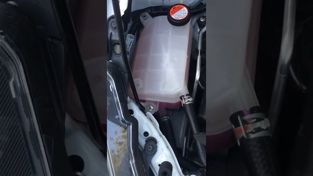 PRIUS alpha副水箱防水蓋 安裝 смотреть онлайн