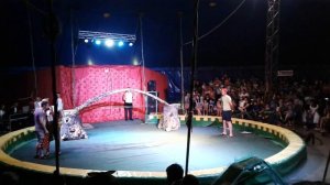 Цирк с участием моего сына (зрителя)