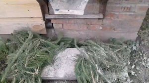 Кормосмесь для кур несушек, делаем сами.