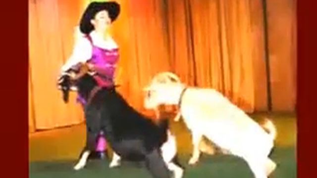 Какие бывают театры Путешествие в театр Часть 2 смотреть онлайн