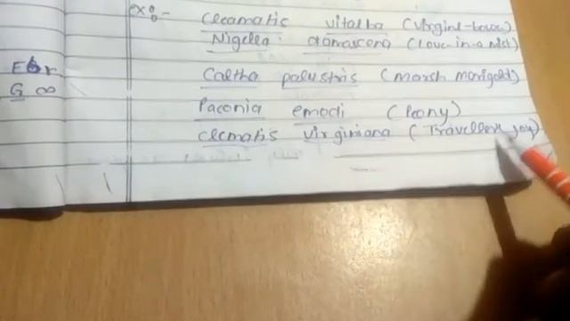 Economic importance of family ranunculaceae смотреть онлайн