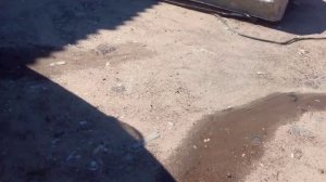 Ремонт лодок RS52 Лысково, устранение протечек в лодке "Казанка 5м"