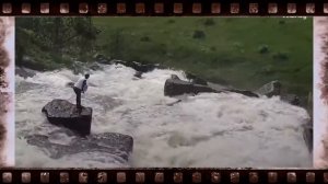 Собаку унесло сильным потоком воды. Ее хозяин не растерялся и тут же нашел выход из ситуации