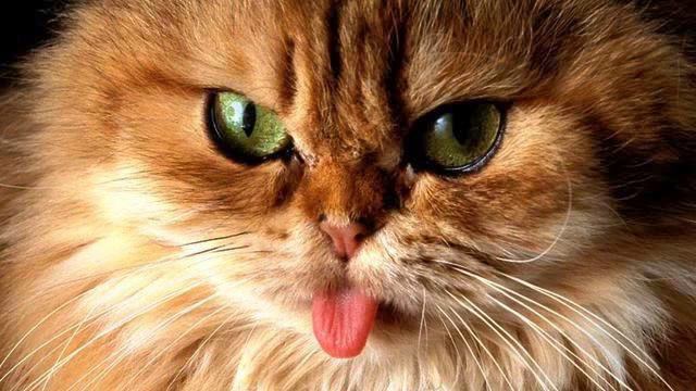 Музыка сердца. Настоящий хит! Русская Адель! смотреть онлайн