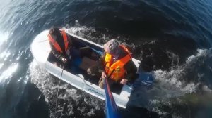 Савозерская идиллия