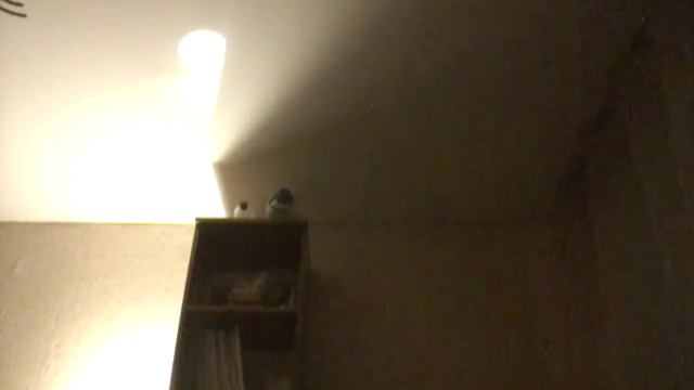 Как стать феей