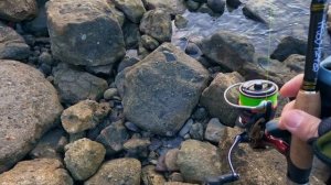 РЫБАЛКА НА ЯДРЕНОГО САРГАНА. Радость поклевок на рыбалке.