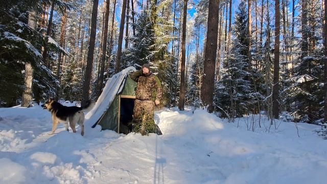 БОЛЬШОЙ 12 км. ПОХОД В ЛЕС. ЗАНИМАЮСЬ БЫТОМ НА БАЛАГАНЕ. ДИКАЯ КУХНЯ! смотреть онлайн