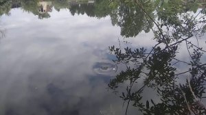 Необычная воронка в озере