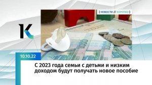 Семьи с детьми и низкими доходами будут получать новое пособие