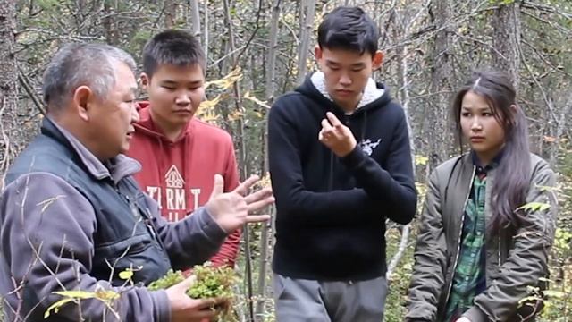 Выживание в лесу: Мох-Сфагнум смотреть онлайн