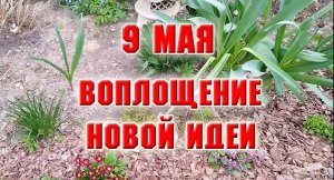 9 мая. Начала осуществлять новую задумку