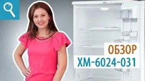 ХМ - 6024 - 031 — обзор модели. Обзор двухкомпрессорного холодильника ATLANT.