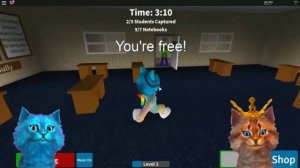 КОТИК ИГРОМАН И КОТЁНОК ЛАЙК//БАЛДИ//СМЕШНЫЕ МОМЕНТЫ