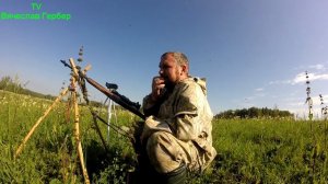 охота на серого сурка или байбак