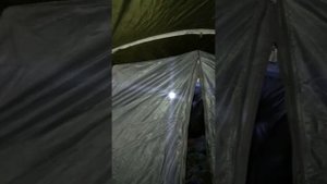 Что лучше дрова или брикеты? Печь берег, брикеты руф (rug)