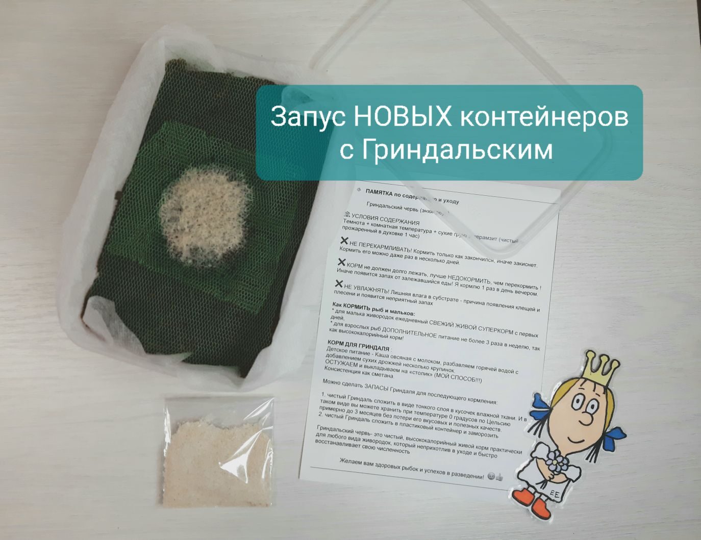 Запуск НОВЫХ контейнеров с культурой Гриндальский червь смотреть онлайн