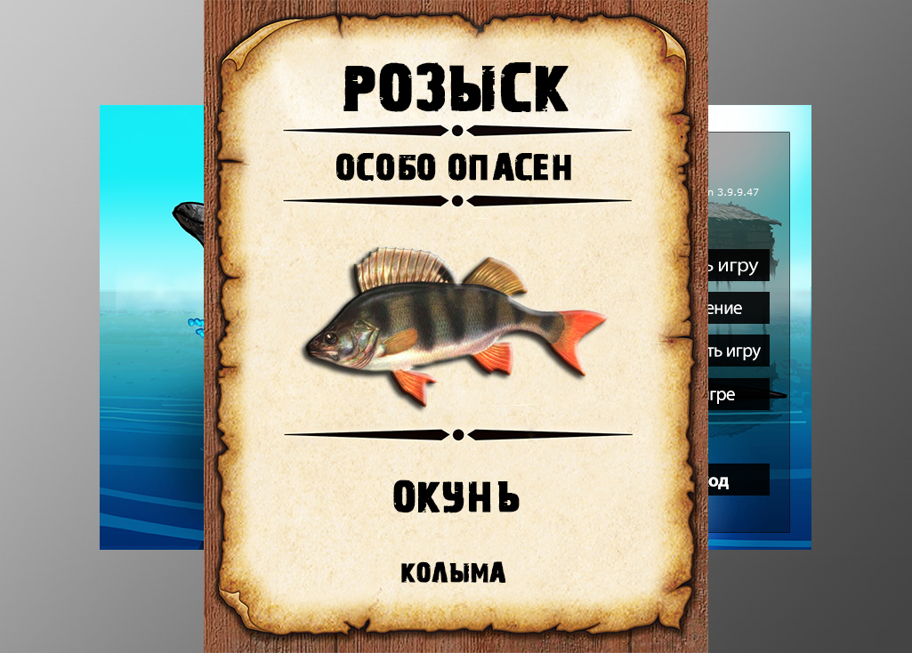 Русская рыбалка 3 рыбы. Свирь язь рр3. Где ловить окуня. Русская рыбалка 3 на что ловится рыба.