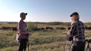 Потерянный пастух и найденные гурт и отара овец