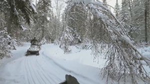 Хозяин тайги - Хардикова Заимка