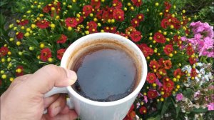 Чайная пленка на стенках желудка, жёсткая вода и грязные чашки, опасное двойное кипячение воды.