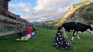 Медитация на берегу Катуни с коровами.