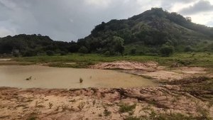 Шри Ланка. Национальный парк Минерия.