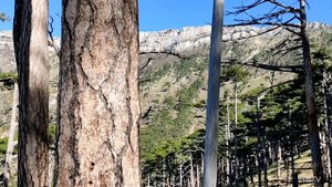 Ялта. Горные тропы. Стиля-Богаз