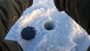 Плотва на пенопласт в глухозимье. Шарик пенопласта делает лучший вариант для поклевок плотвы.