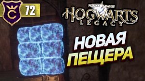 НОВЫЙ ВИД ГОЛОВОЛОМКИ ПЕЩЕРЫ! Hogwarts Legacy #72